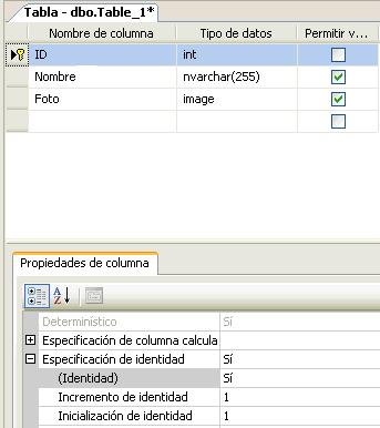 Figura 1. Estructura de la tabla de prueba