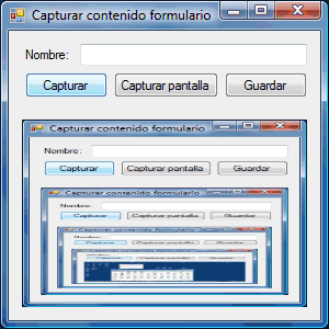 Figura 2. Varias capturas del formulario con lo capturado