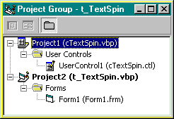 Figura 3 -Project Group